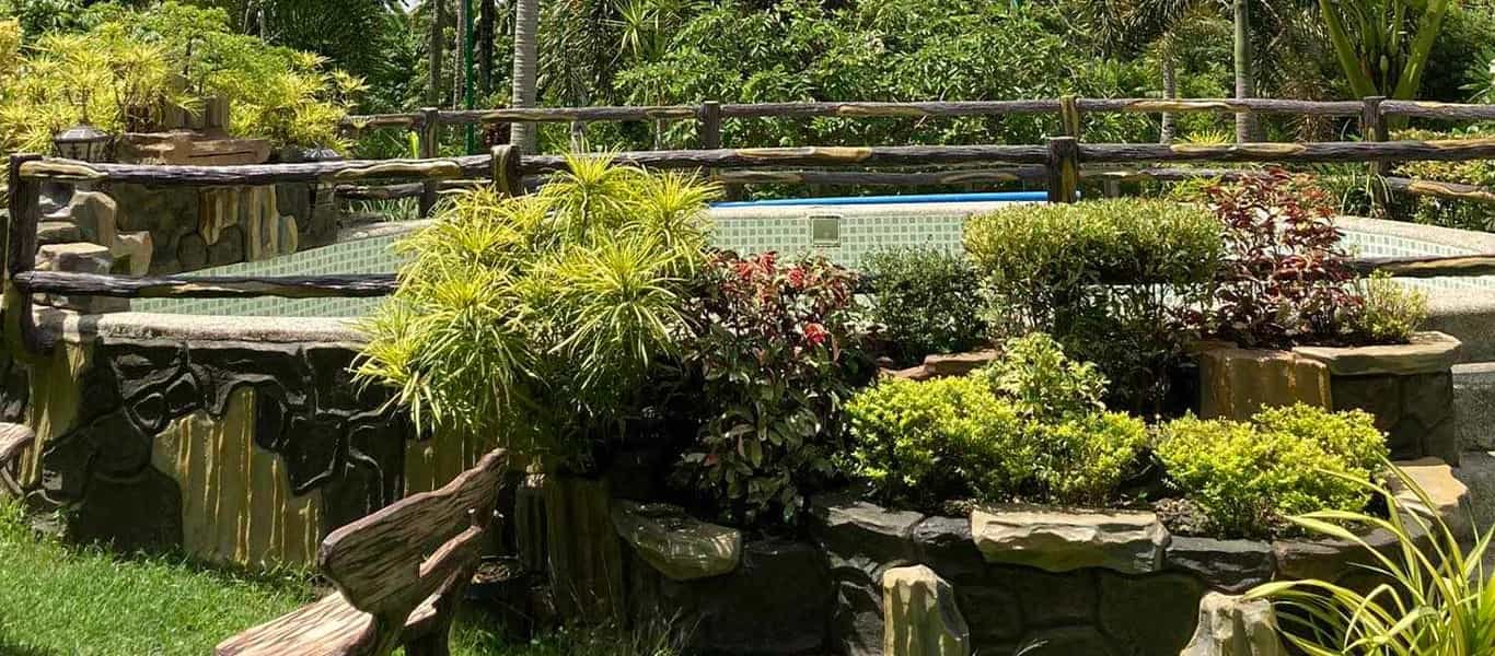 Beautiful Garden View